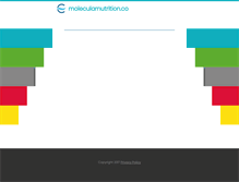 Tablet Screenshot of molecularnutrition.co